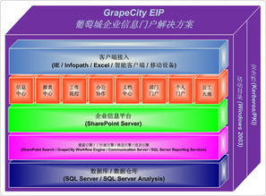 葡萄城服務 企業信息門戶與工作流管理的高效整合方案