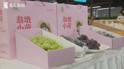 上海市場牽手六安產(chǎn)品 六安農(nóng)旅滬上文化節(jié)開幕 文化用品